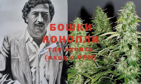 шишки Армянск