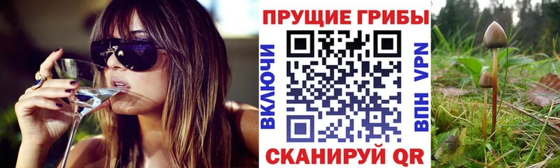 Галлюциногенные грибы Cubensis  Купить где  Узловая 